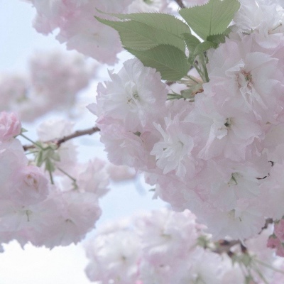 兽设角色性格塑造福瑞交流群